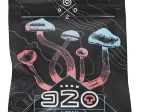 psilocybin schokolade kaufen